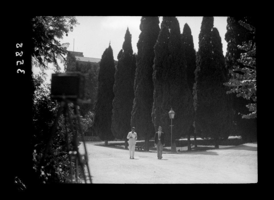 American University, Beirut, (A.U.B.). Campus showing the stately cypresses LOC matpc.15425