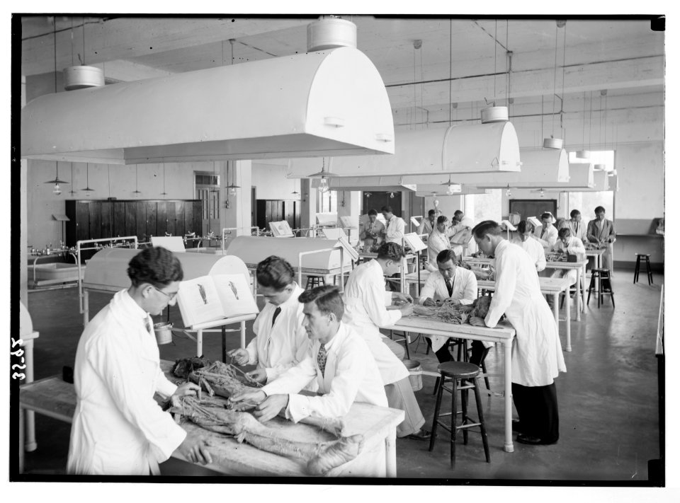 American University. Beirut, (A.U.B.). Classroom. New medical bldg. (i.e., building) showing students in dissecting class LOC matpc.02840