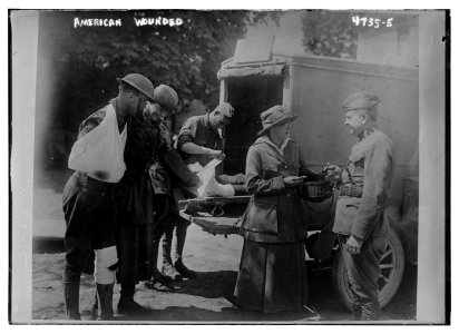 American Wounded LCCN2014707858