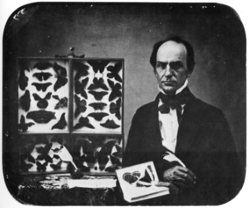 Amerikanischer Photograph um 1850 - Der Schmetterlingssammler (Zeno Fotografie)
