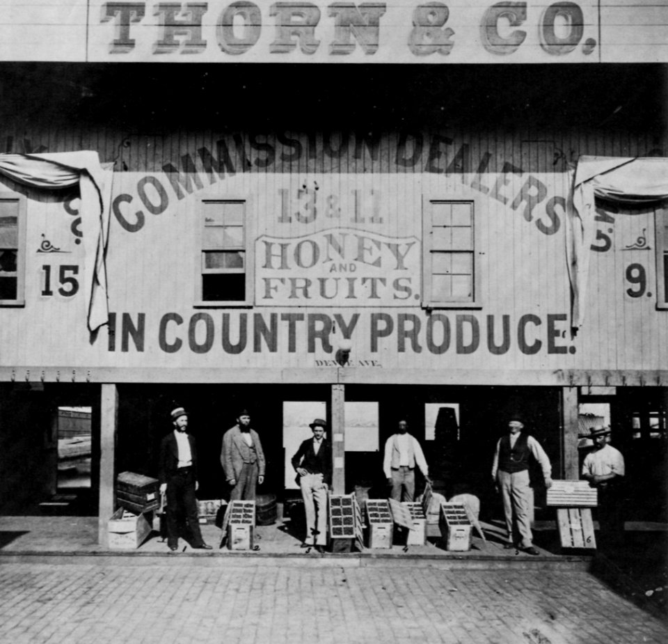 Amerikanischer Photograph um 1874 - Thorn and Co. (Zeno Fotografie)