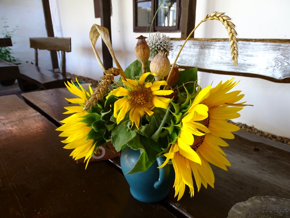 Flower of sunflower flowers nature