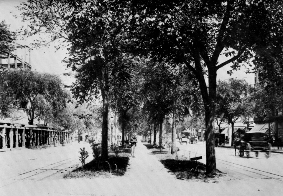 Amerikanischer Photograph um 1900 - Broadway bei der 73rd Street (Zeno Fotografie)