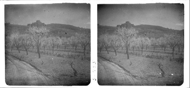Ametllers de Sant Genís de Rocafort