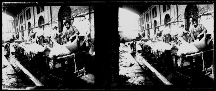 Amiens. 10-07-15. Abattoir - Fonds Berthelé - 49Fi75