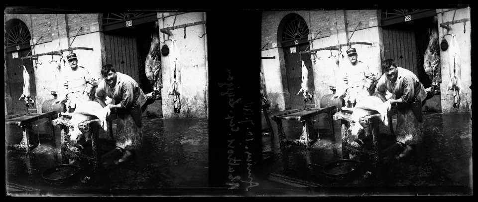 Amiens. 10-07-15. Abattoir. Capitaine Légigand - Fonds Berthelé - 49Fi84