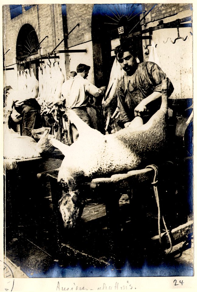 Amiens. 10-07-15. Abattoir - Fonds Berthelé - 49Fi1874-24