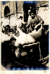 Amiens. 10-07-15. Abattoir - Fonds Berthelé - 49Fi1874-24