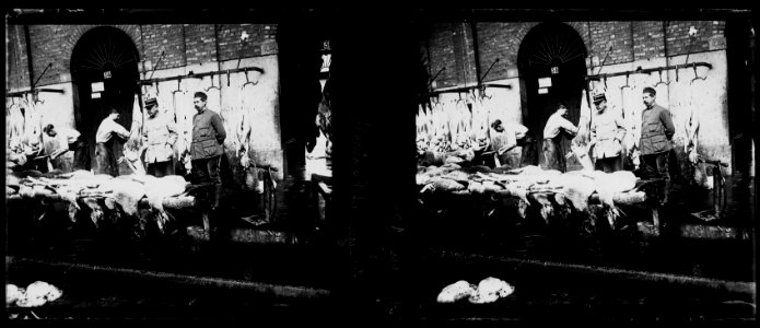 Amiens. 10-07-15. Abattoir. MM. Légigand et Fontand - Fonds Berthelé - 49Fi76