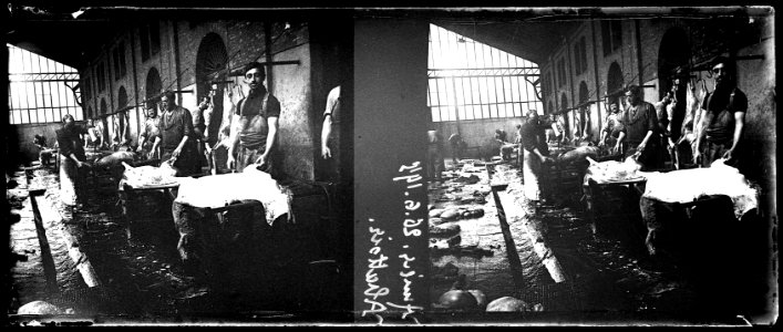 Amiens. 26-06-15. Abattoir - Fonds Berthelé - 49Fi86