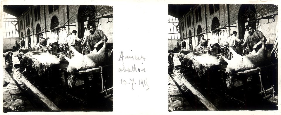 Amiens. abattoir. 10-07-15 - Fonds Berthelé - 49Fi111