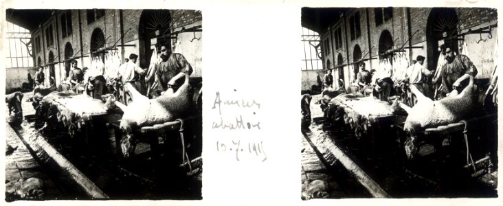 Amiens. abattoir. 10-07-15 - Fonds Berthelé - 49Fi111