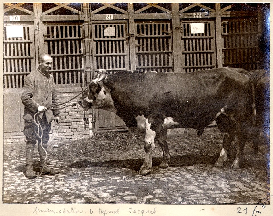 Amiens. Abattoir. Le caporal Jacquet - Fonds Berthelé - 49Fi1874-21