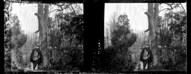 Amiens. La Hotoie. RB - Fonds Berthelé - 49Fi978