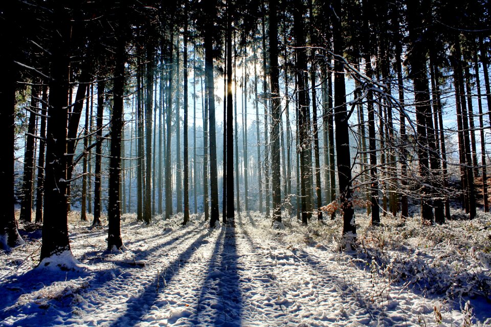 Light sun winter