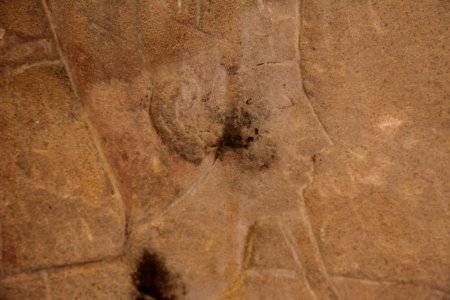 Amon giving life to a worshiper-MAHG Eg 27-IMG 9655