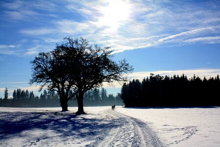 Nature landscape frost photo