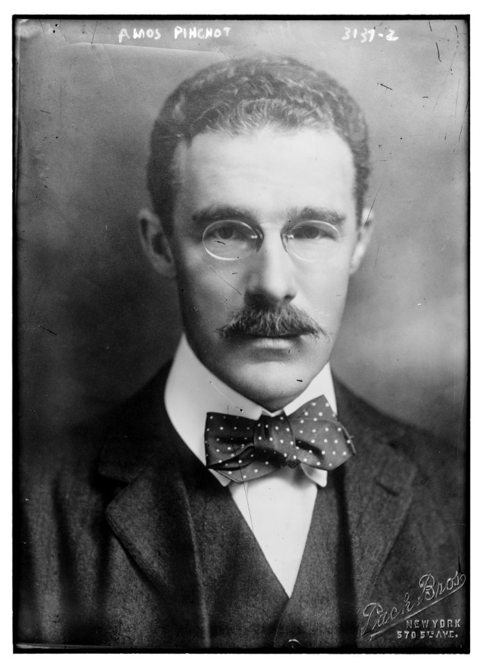 Amos Pinchot LCCN2014696494