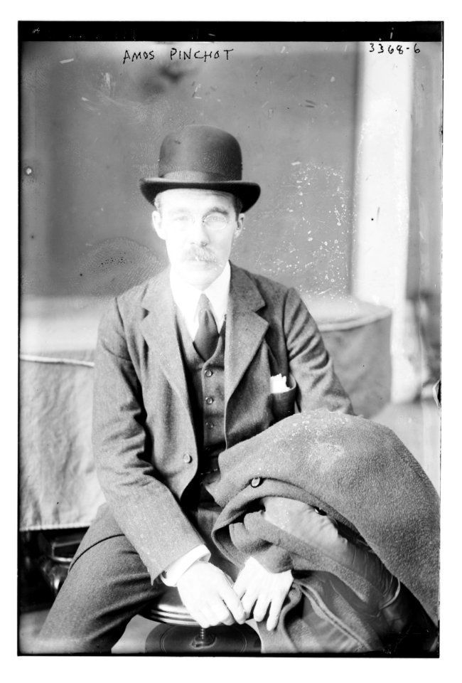 Amos Pinchot LCCN2014698350