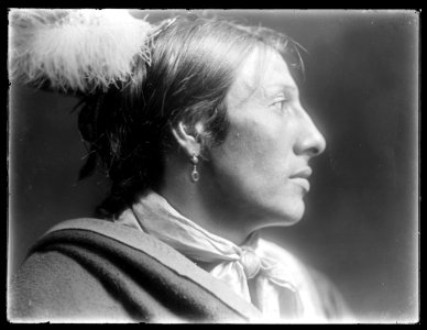Amos Two Bulls, American Indian LCCN2006679575