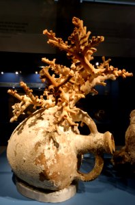 Amphora with coral Levanzo I shipwreck n2