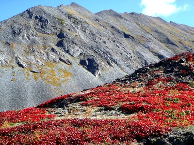 Mountain valley mountain plateau mountain tundra photo