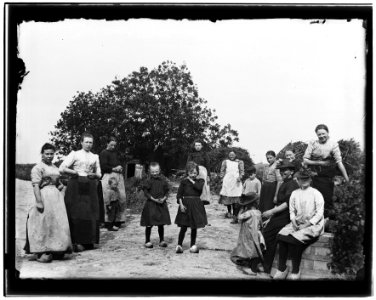 Amsteldijk (thv nrs) 352-354 (max res)