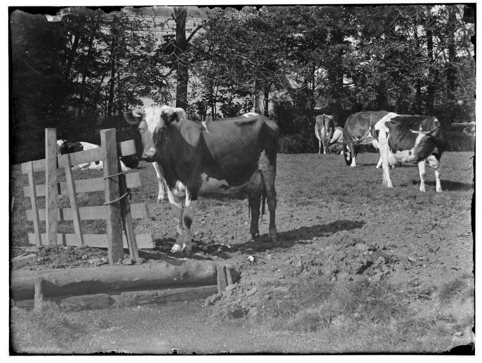 Amsteldijk thv 153 (voorheen tussen 105 en 107), foto 7 Jacob Olie (max res)