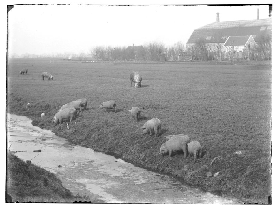 Amsteldijk, foto 6 Jacob Olie (max res)