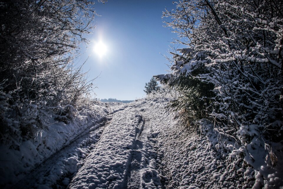 Landscape frost icing