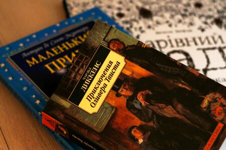 Knowledge novel brown reading