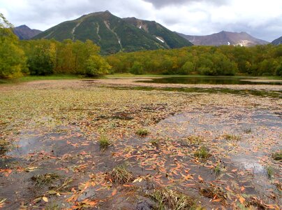 Open space height autumn photo