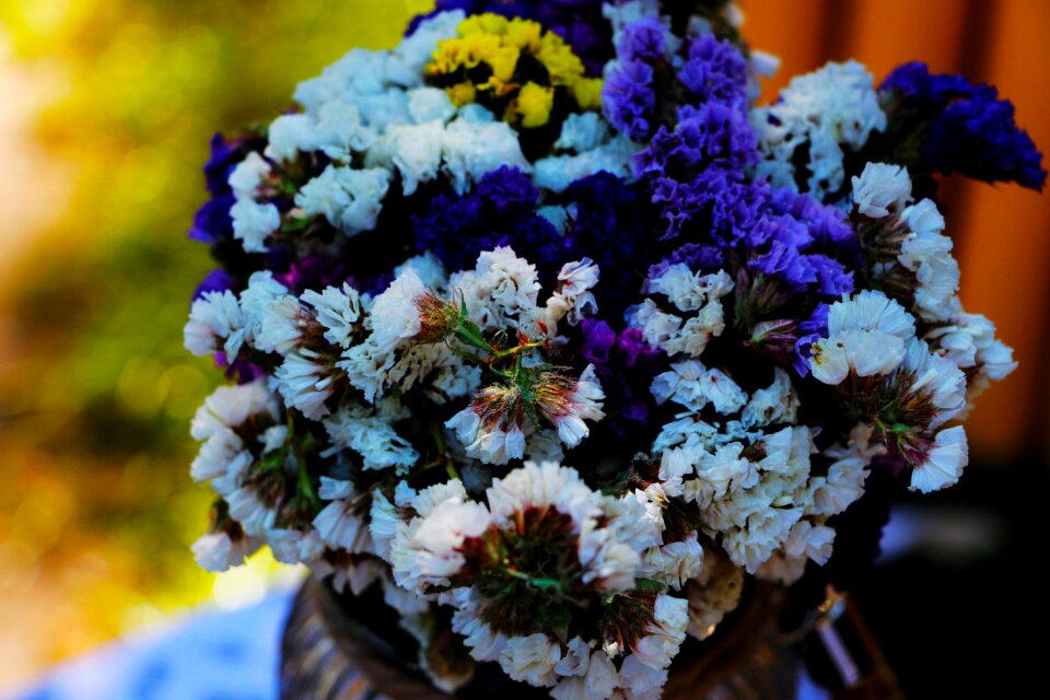 Bunch flower vase photo