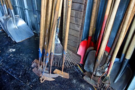 Gardening agriculture gardener photo