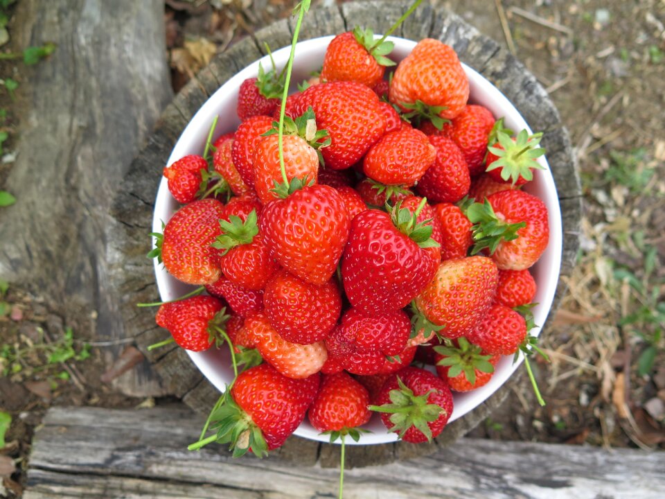 Healthy freshness red