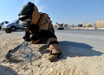 An officer prepares a bomb during training. (8188175800)