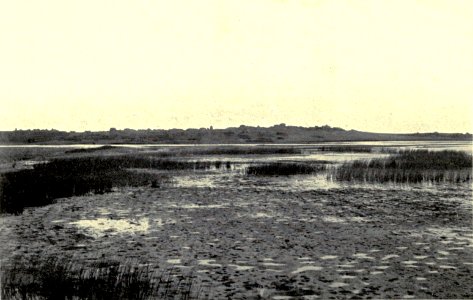 An Old Fen Village. Accidents of an antiquary's life. 1910