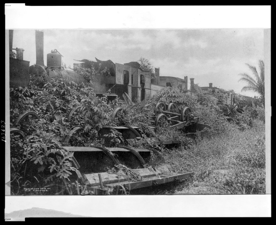 An old French bone yard LCCN99471651
