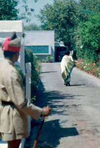 An unidentified woman walks up a driveway, during First Lady Jacqueline Kennedy’s trip to India