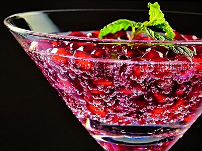 Fruit bubbly garnish
