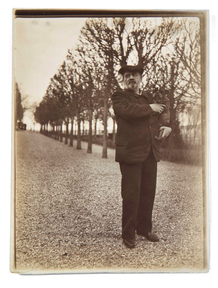 Ancienne collection François Émile-Zola - Émile Zola 02