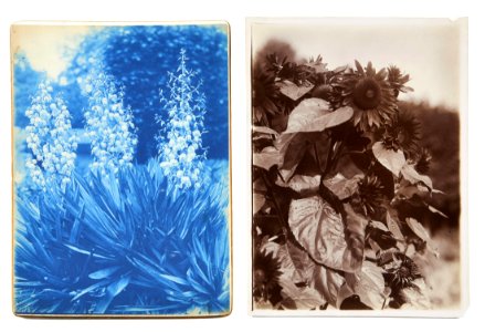 Ancienne collection François Émile-Zola 09