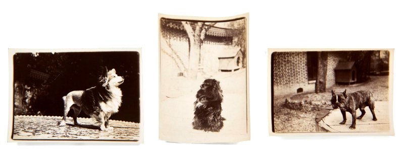 Ancienne collection François Émile-Zola 20