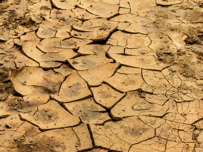 Dry clay crack desert photo