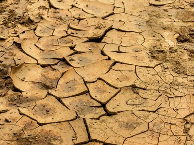 Dry clay crack desert