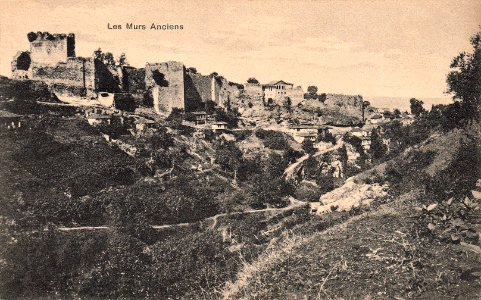 Ancient walls of Trebizond