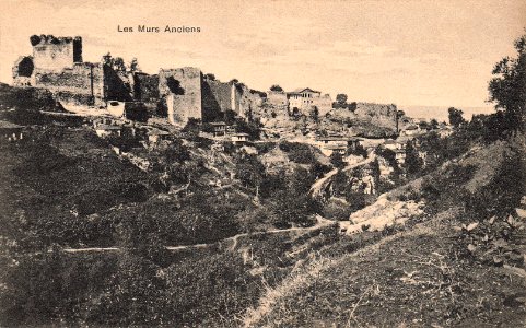 Ancient walls of Trebizond photo