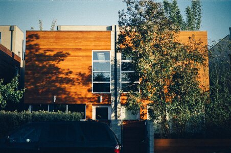 Windows modern trees
