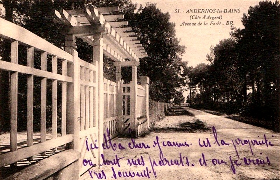 Andernos-les-Bains - avenue de la forêt 2