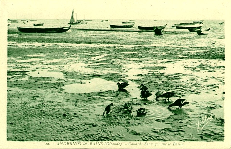 Andernos-les-Bains - bords du Bassin 1